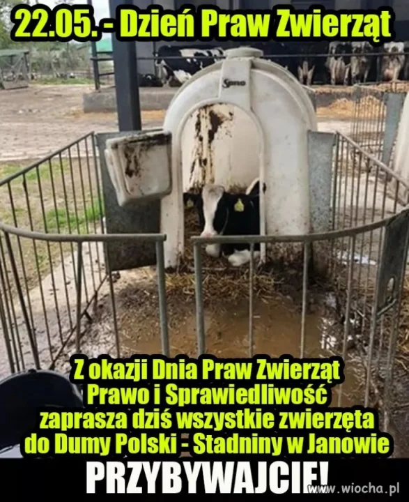 Dzień praw