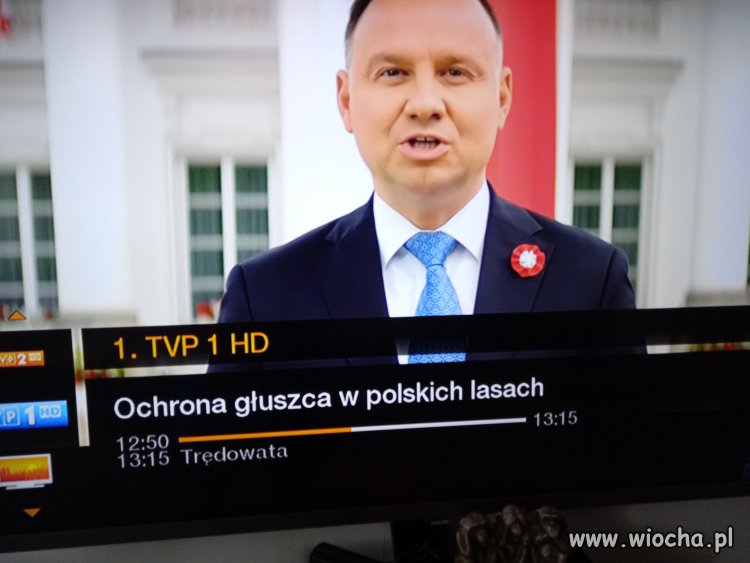 TVP 1 