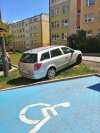 Mistrz parkowania