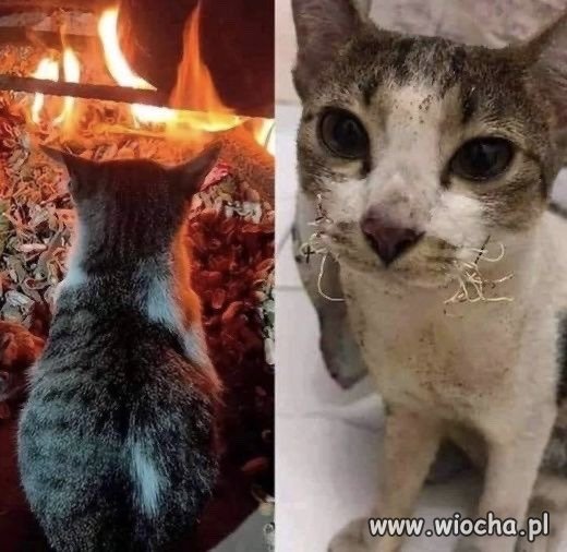 Ale się zagrzał.   