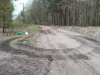 Wpuścili ludzi do lasu