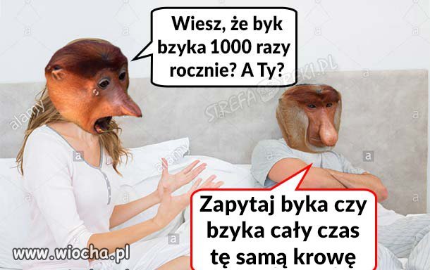 I to prawda 