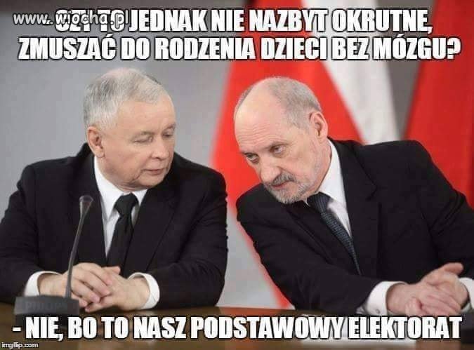 Konsultacje społeczne w sprawie dopuszczalności ..