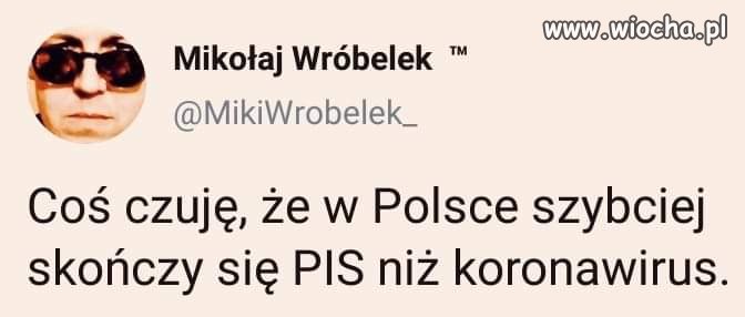 Wszystko