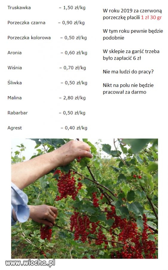 Minimalne ceny skupu na rok 2020