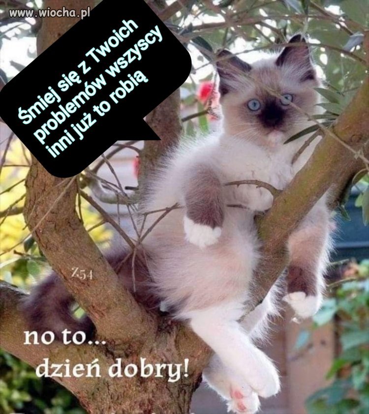 Śmiej się z Twoich problemów