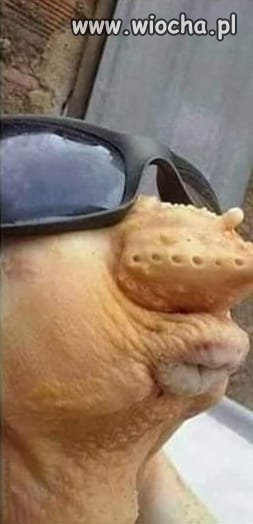 Takie tam bez maseczki