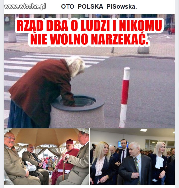 Cały pis