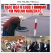 Cały pis