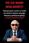 Bez komentarza 