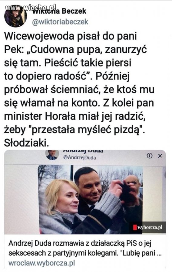 Tymczasem 