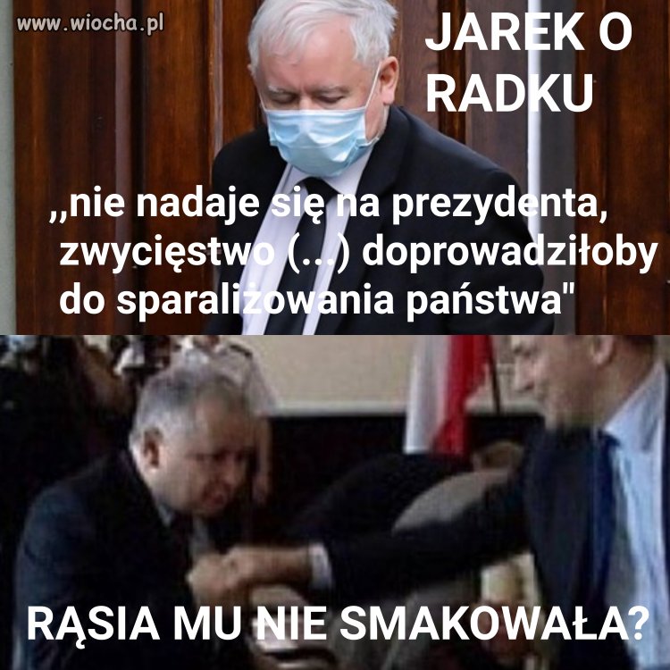 Absmak