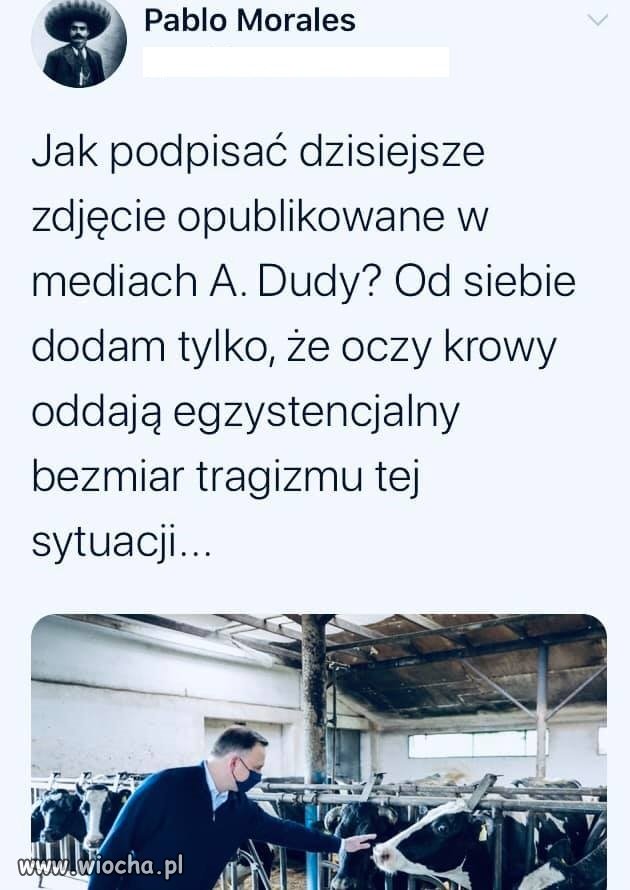 PAD się lansuje w kampanii.Tu z gospodarską wizytą