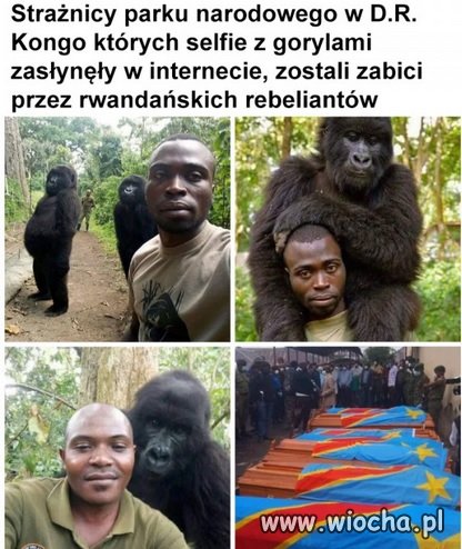 Świat się kończy 