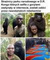 Świat się kończy 