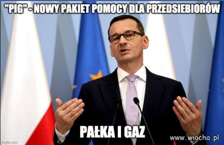 Nowy program 