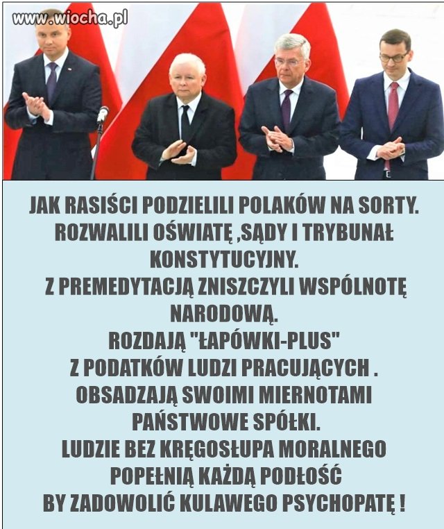 Miernot w pis