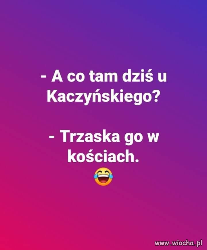 Co tam słychać dziś na Żoliborzu ?