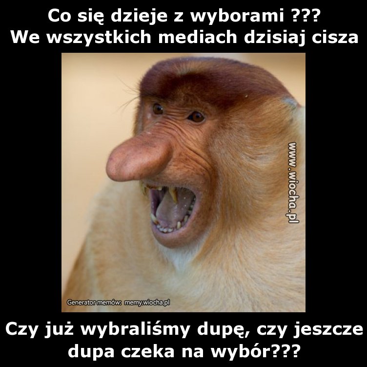 Co się dzieje z wyborami ???