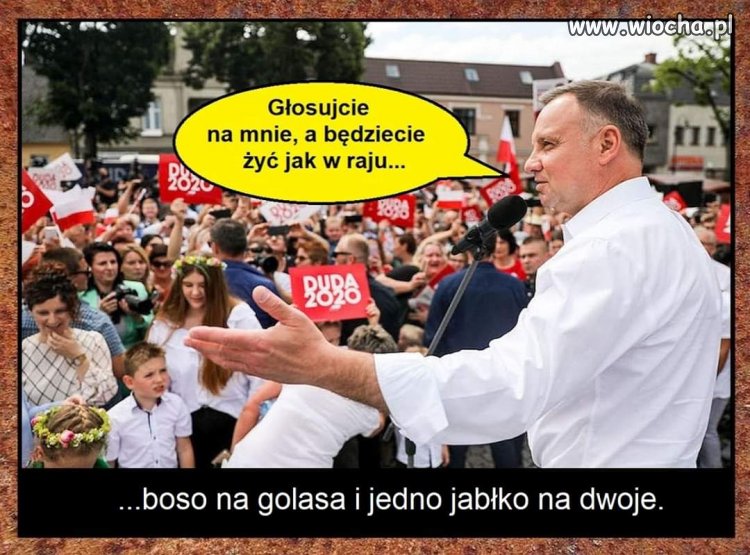 Wybierajcie 