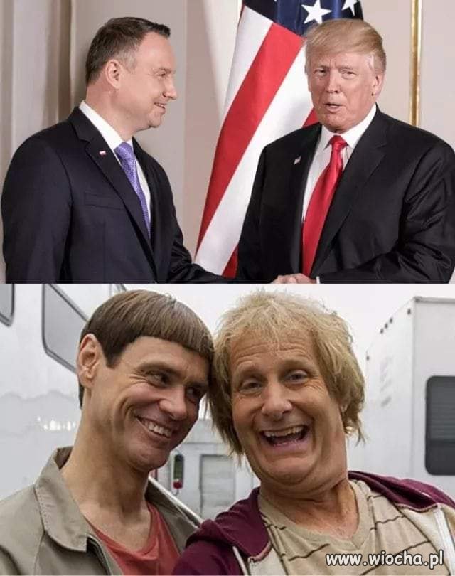 Kto oglądał ?