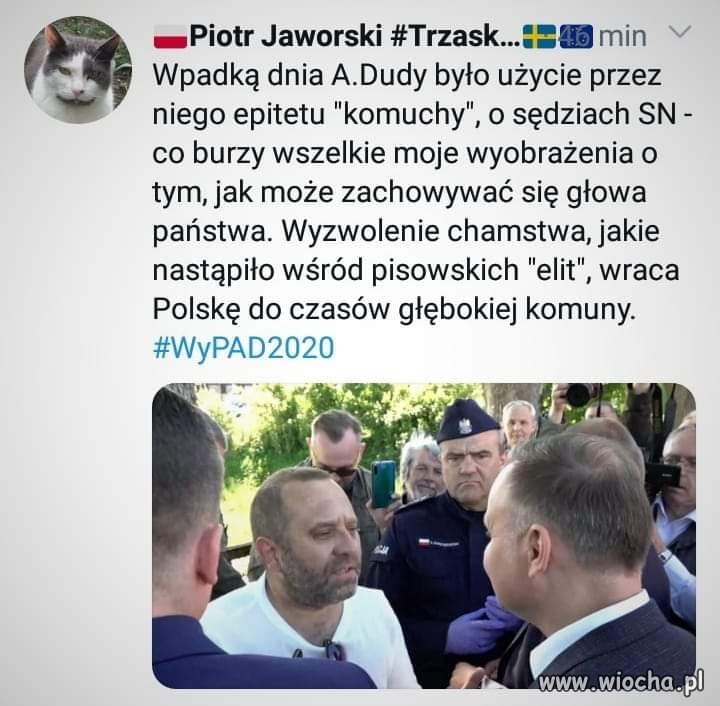 Błyskotliwość Adriana