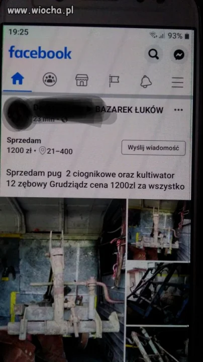 Sprzedam pug
