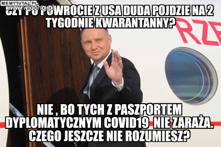 Pisowskie kryształy odporne są na zarazy