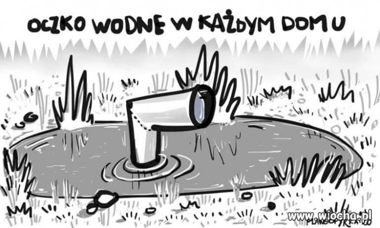 Oczko wodne