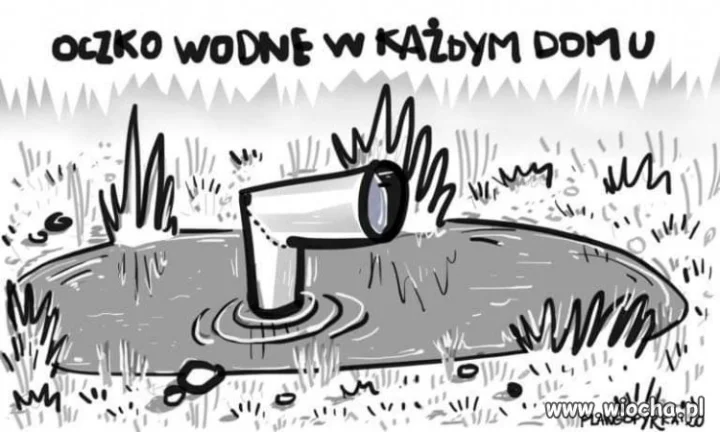 Oczko wodne