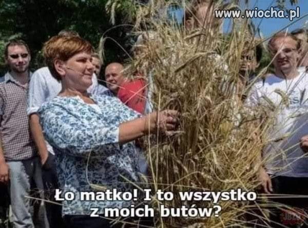 Obrodziło ...