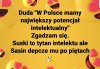 No nie mogę. Ale się uśmiałem ...