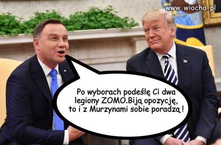 Sojusznik +