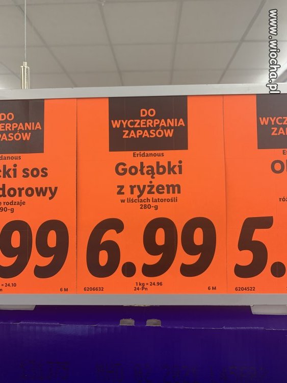 Latorośl