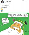 No bo nie są
