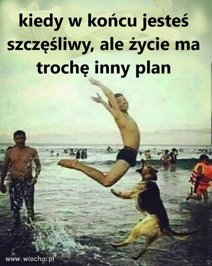 Kiedy w końcu jesteś szczęśliwy