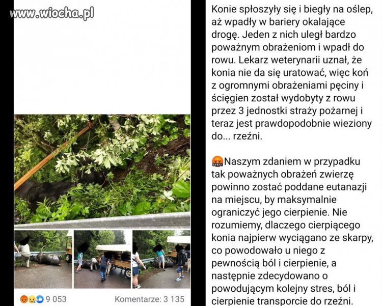 Jak długo jeszcze?