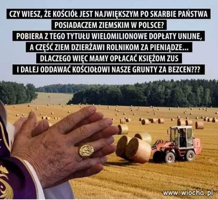 Przekaz dnia