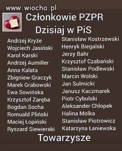 Towarzysze 