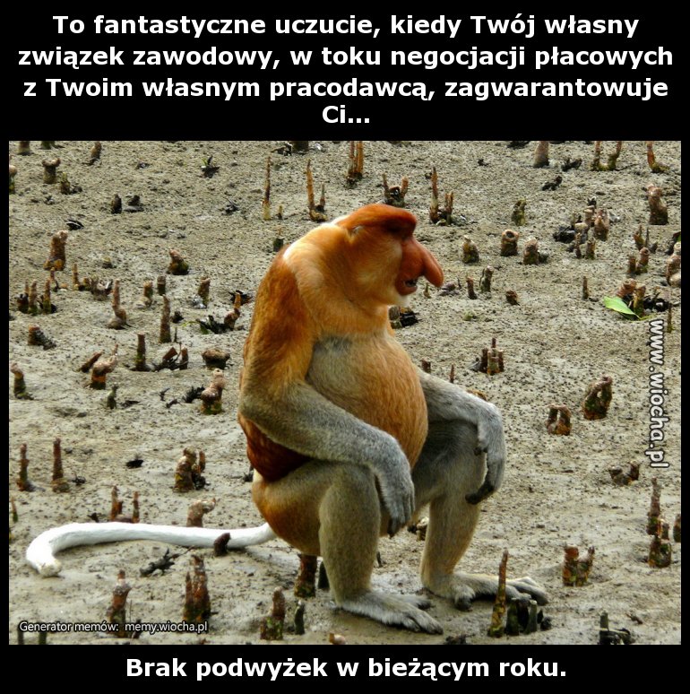 To fantastyczne uczucie, kiedy Twój własny związek