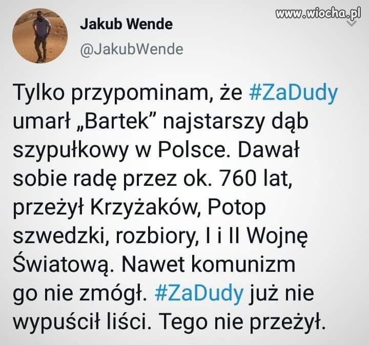 Oj Anżej 