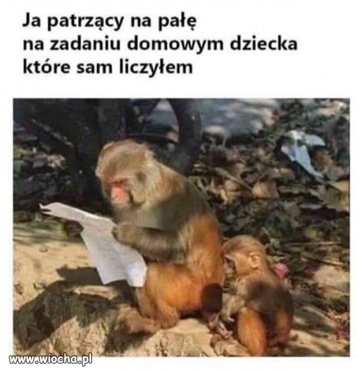 Życie...