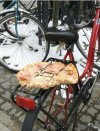 Nowy dostawca pizzy.