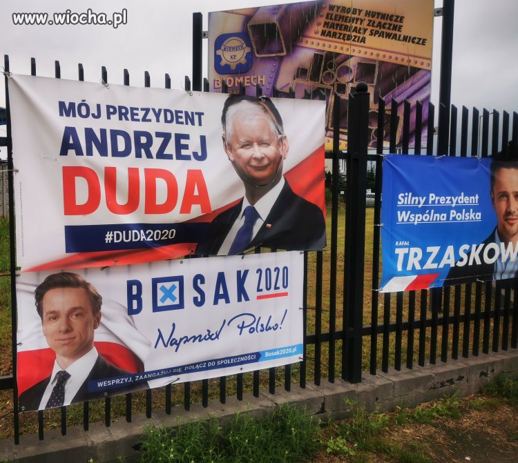 Wybory 2020