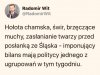 Dorzuciłbym oczyszczanie Polski z brudu...