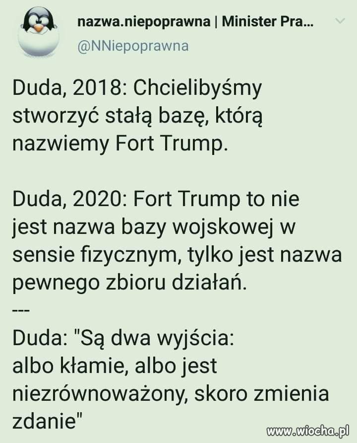 Albo jedno