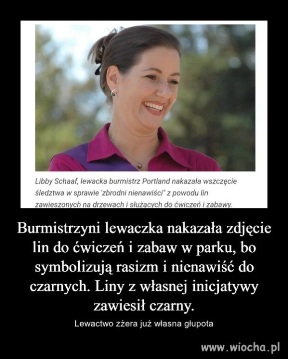 Absurd goni absurd