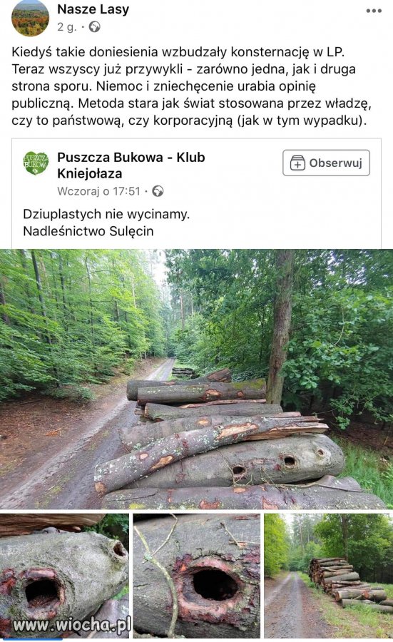 Lasy Państwowe 