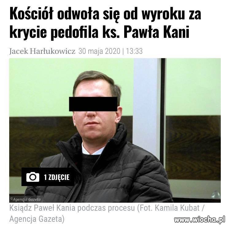 To jak przepraszali to kłamali ?