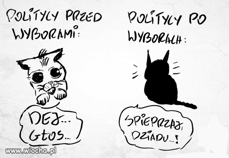 Tytuł zbędny